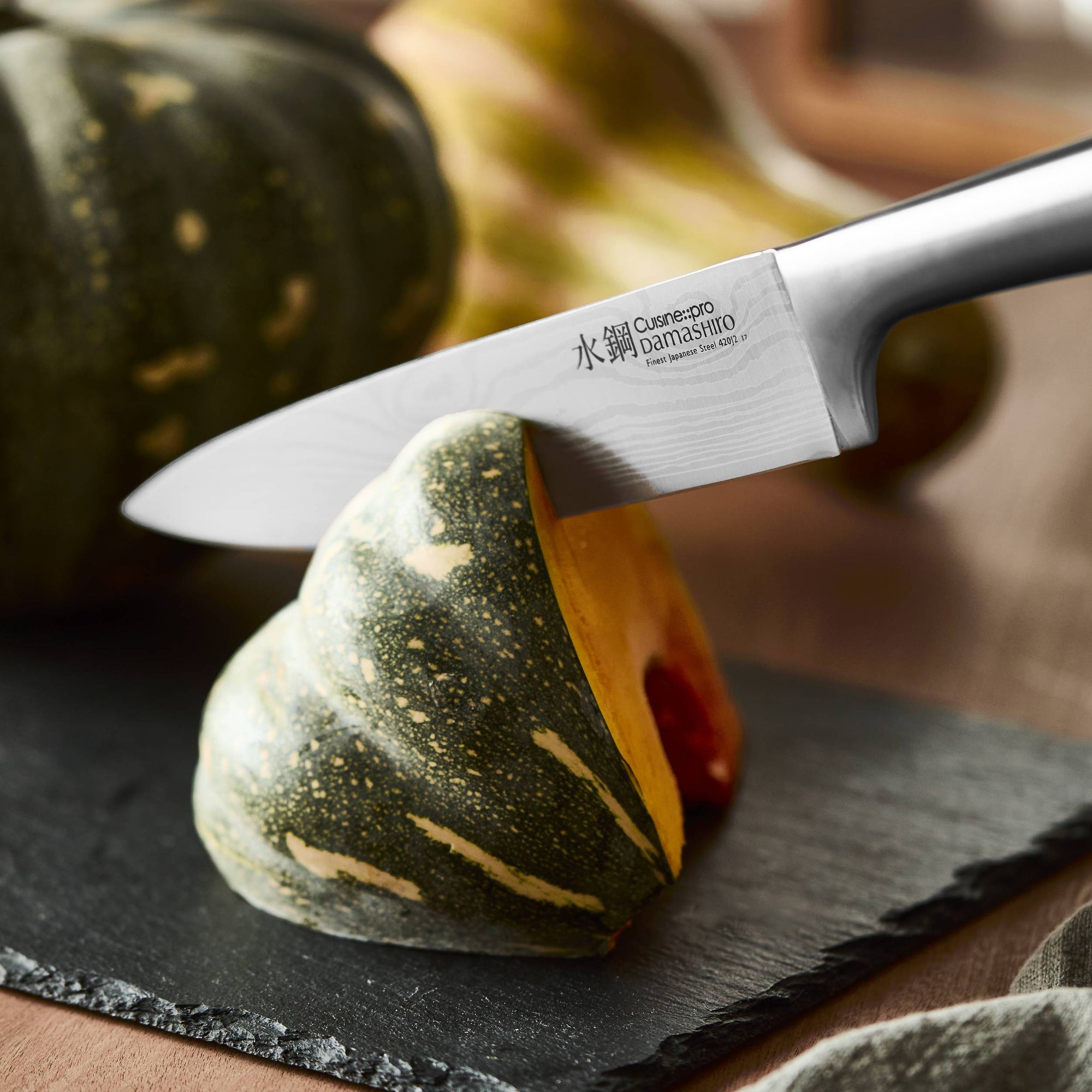 Cuisine::pro® Damashiro® 10-Piece Hiryu Knife Block